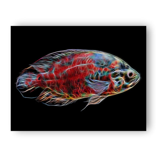 Oscar Cichlid Prints with Stunning Fractal Art Designs.