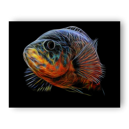 Oscar Cichlid Prints with Stunning Fractal Art Designs.