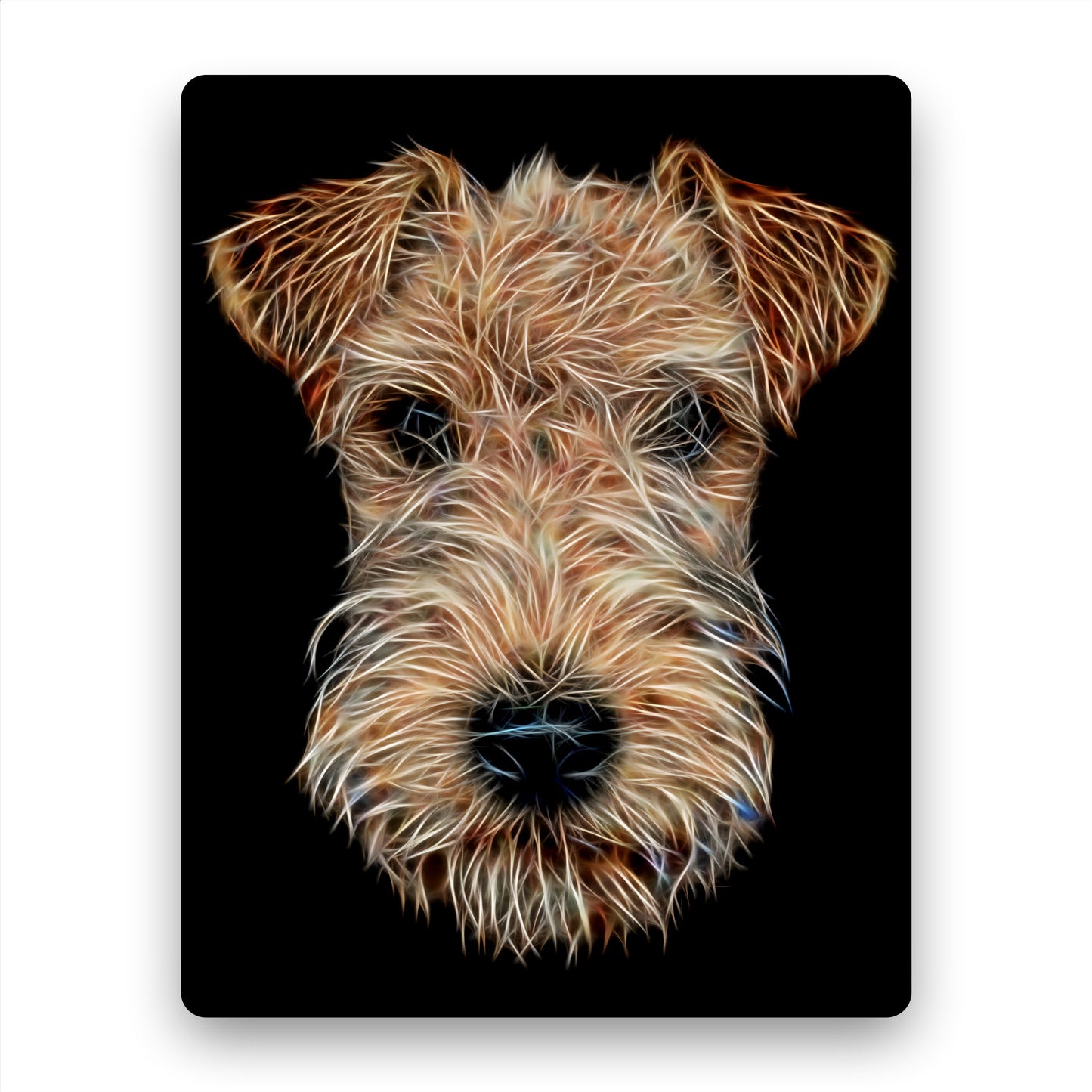 Lakeland Aluminium Metal Wall Plaque with Fractal Art Design, Gift for Lakeland Owner