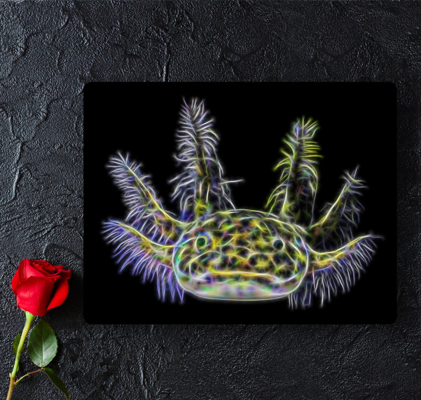 Green Axolotl Aluminium Metal Wall Plaque