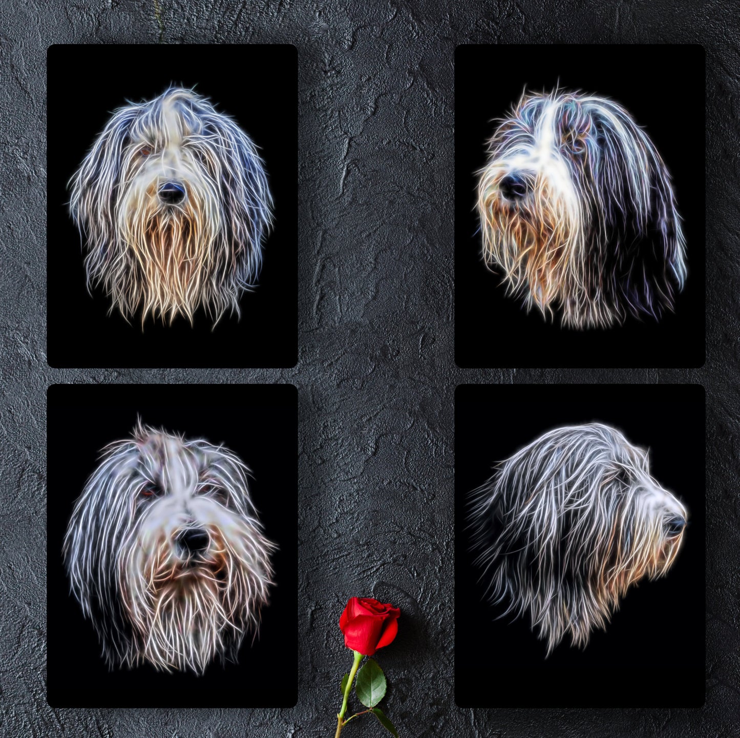 Bearded Collie Fractal Art Metal Wall Plaque with Stunning Fractal Art Design