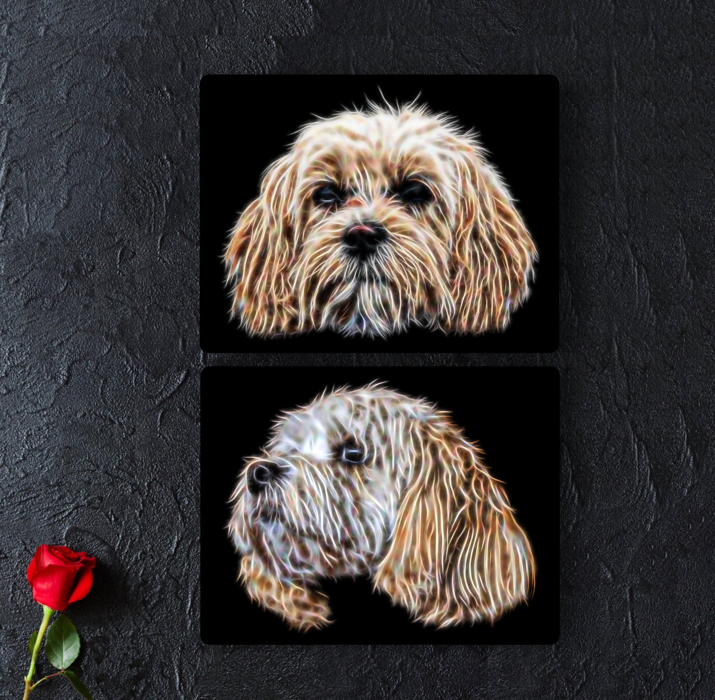 Cavachon Dog Metal Wall Plaque, Perfect Cavachon Owner or Dog Lover Gift.