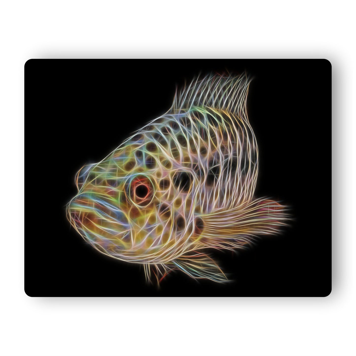 Jaguar Cichlid Aluminium Metal Wall Plaque Parachromis Managuensis