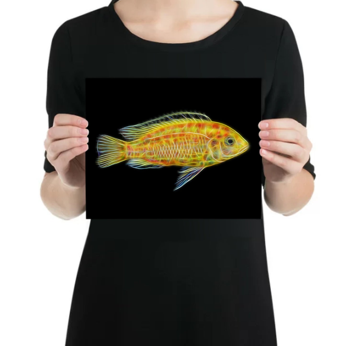 Yellow Lab Cichlid Aluminium Metal Wall Plaque Labidochromis caeruleus