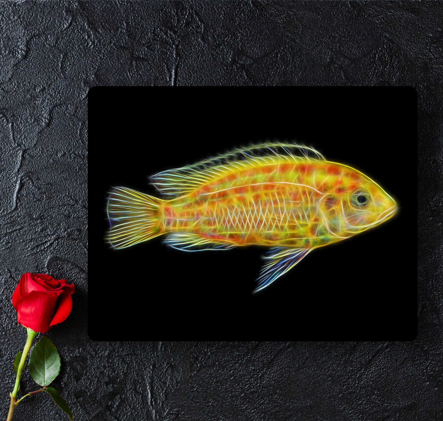 Yellow Lab Cichlid Aluminium Metal Wall Plaque Labidochromis caeruleus