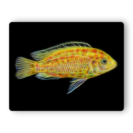 Yellow Lab Cichlid Aluminium Metal Wall Plaque Labidochromis caeruleus