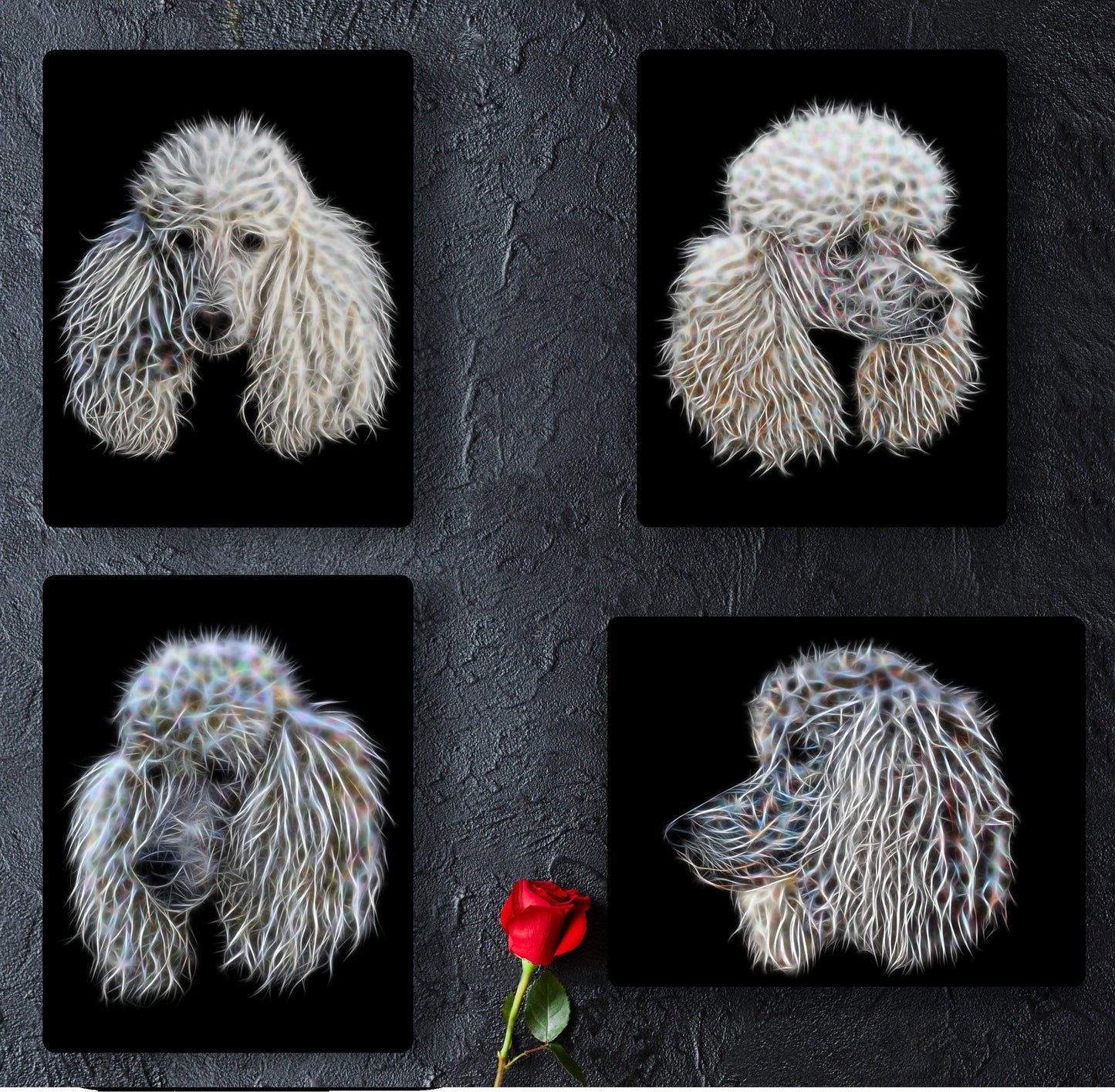White Standard Poodle Metal Wall Plaque with Stunning Fractal Art Design.
