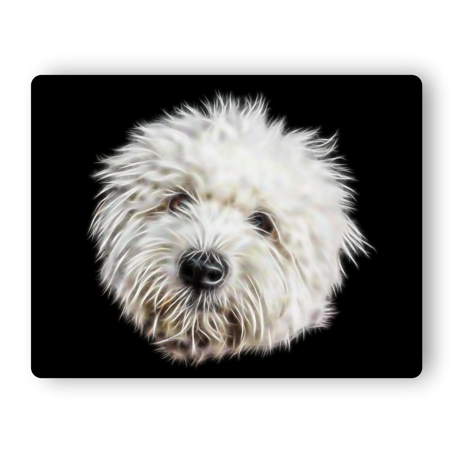 Coton De Tulear Metal Wall Plaque with Stunning Fractal Art Design