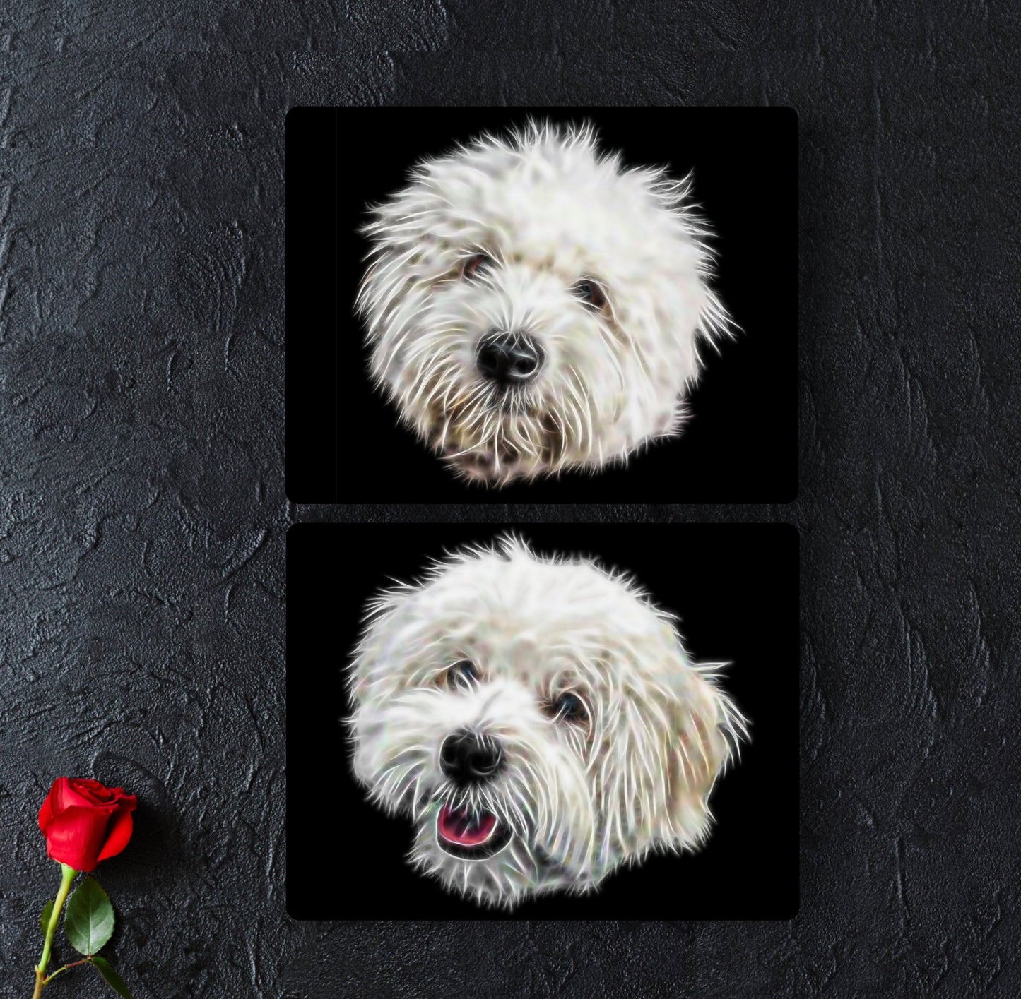 Coton De Tulear Metal Wall Plaque with Stunning Fractal Art Design