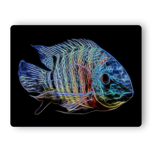 Red Tiger Severum Cichlid Aluminium Metal Wall Plaque with Stunning Fractal Art Design.