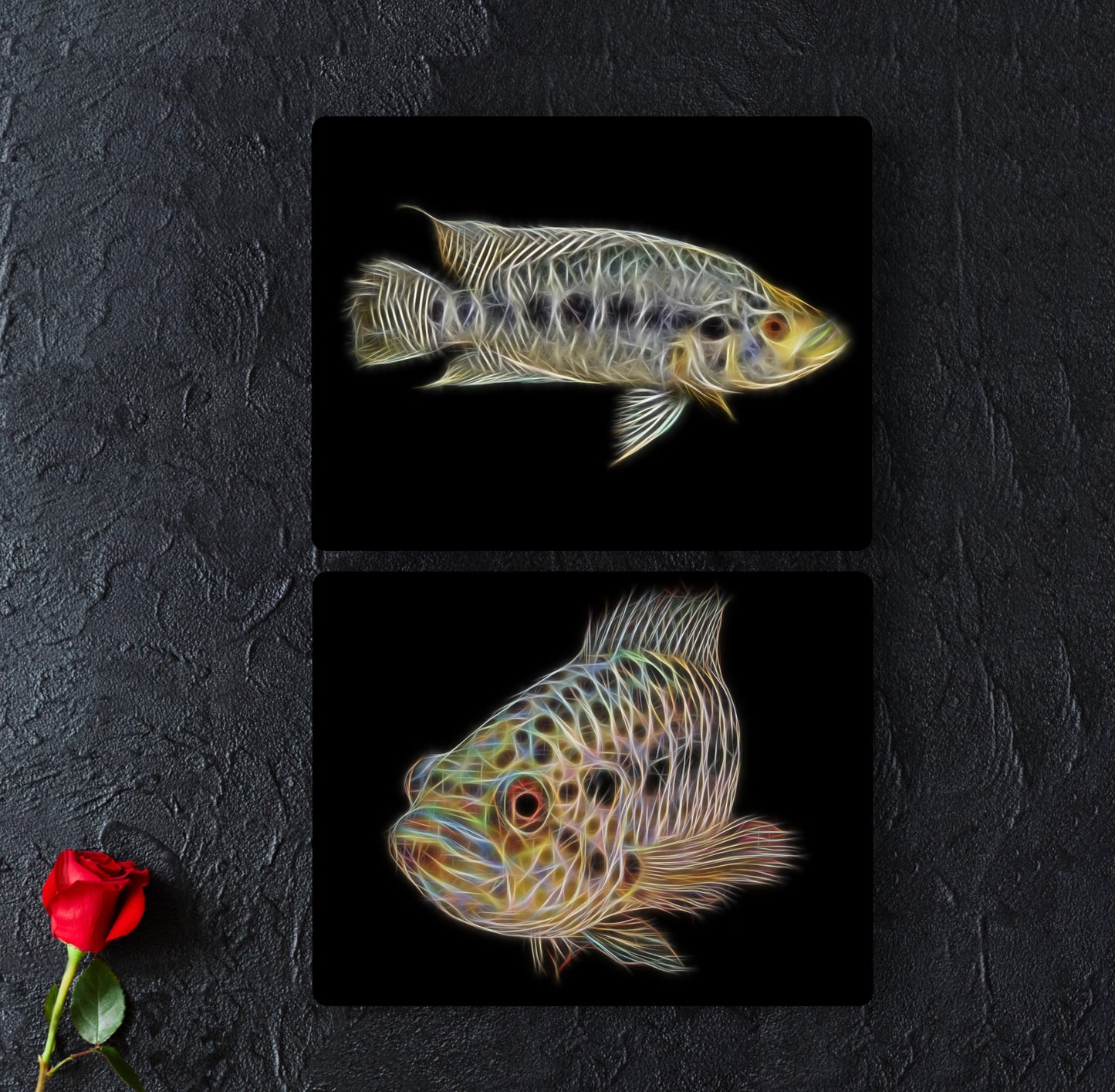 Jaguar Cichlid Aluminium Metal Wall Plaque Parachromis Managuensis