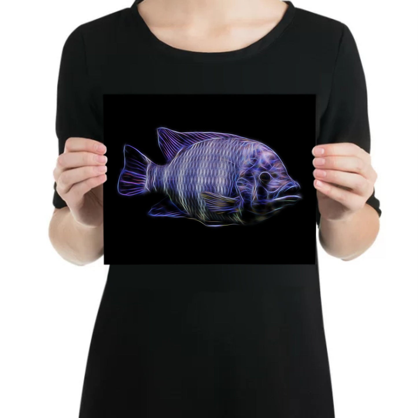Zebra Tilapia Cichlid Aluminium Metal Wall Plaque Tilapia Buttikoferi
