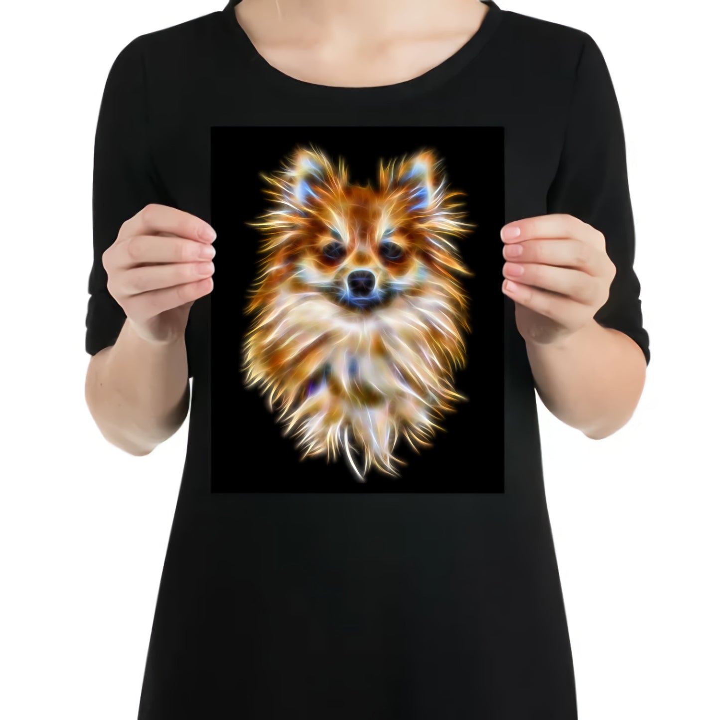 Pomeranian Aluminium Metal Wall Plaque with Stunning Fractal Art Design.