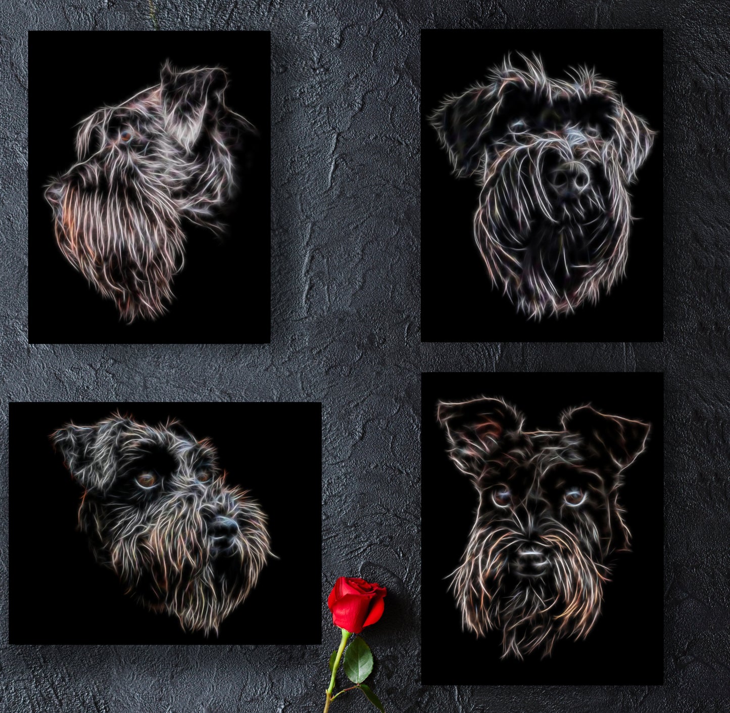 Black Schnauzer Print with Stunning Fractal Art Design. Various Sizes Available