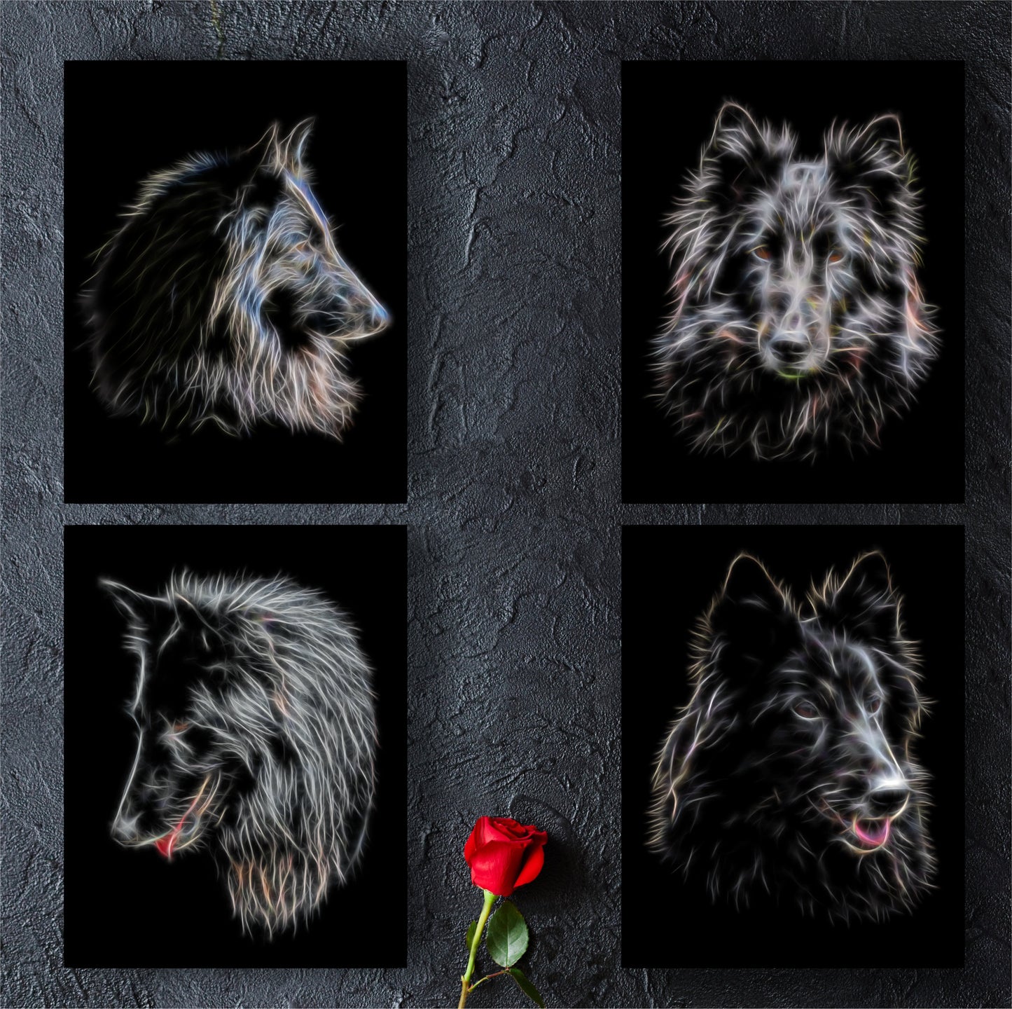 Belgian Shepherd Groenendael Print with Stunning Fractal Art Design. Various Sizes Available