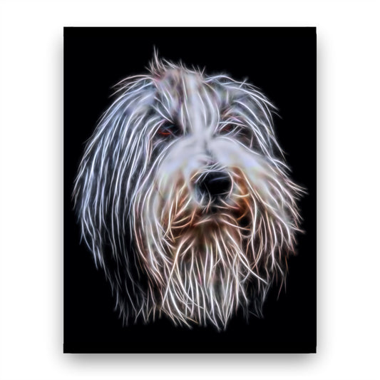 Bearded Collie Print with Stunning Fractal Art Design. Various Sizes Available