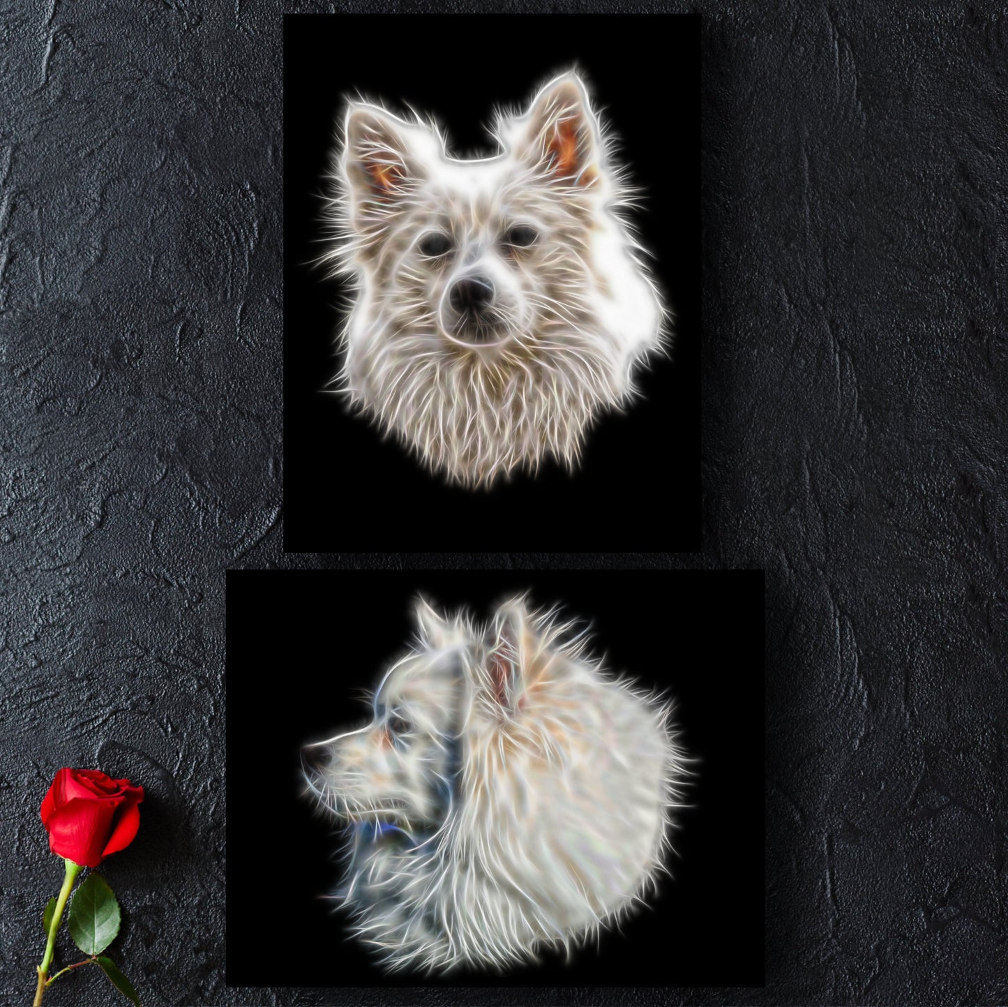 German Spitz Print with Stunning Fractal Art Design. Various Sizes Available