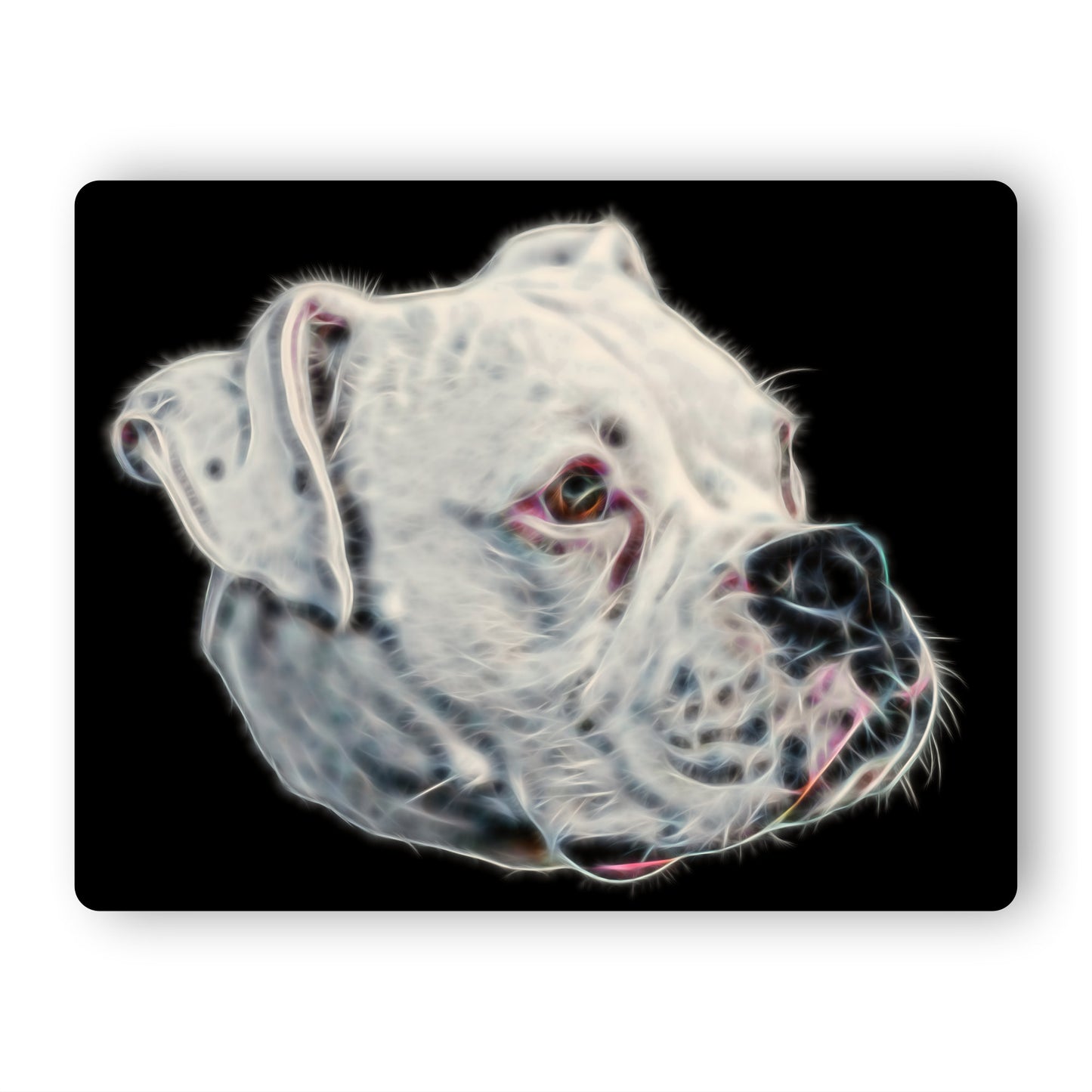 White Boxer Dog Metal Wall Plaque with Stunning Fractal Art Design