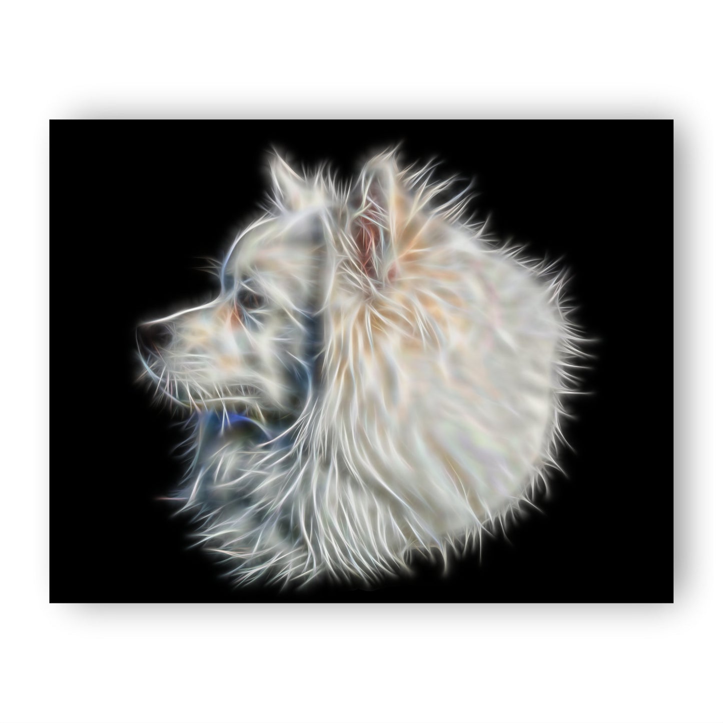 German Spitz Print with Stunning Fractal Art Design. Various Sizes Available