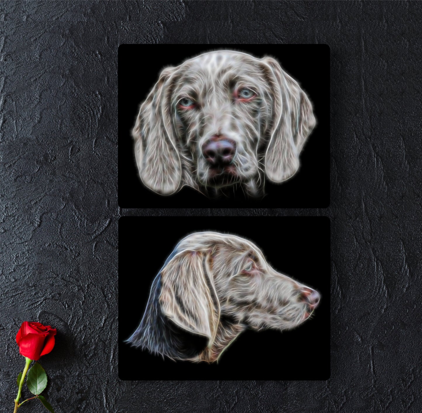 Weimaraner Aluminium Metal Wall Plaque with Stunning Fractal Art Design.