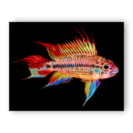 Super Red Cockatoo Dwarf Cichlid Fish Print with Stunning Fractal Art Design. Size 8 x 10 inches