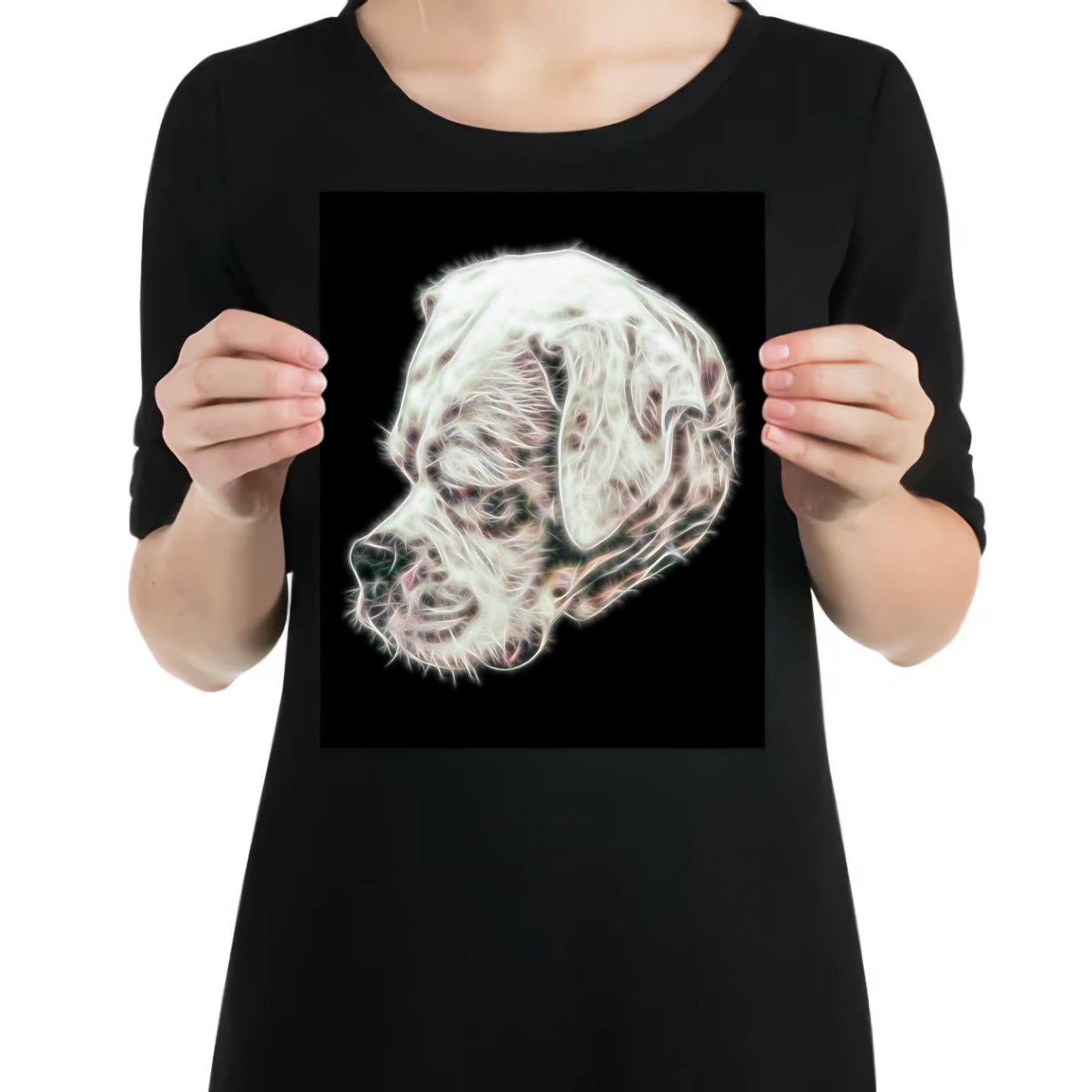 White Boxer Dog Metal Wall Plaque with Stunning Fractal Art Design