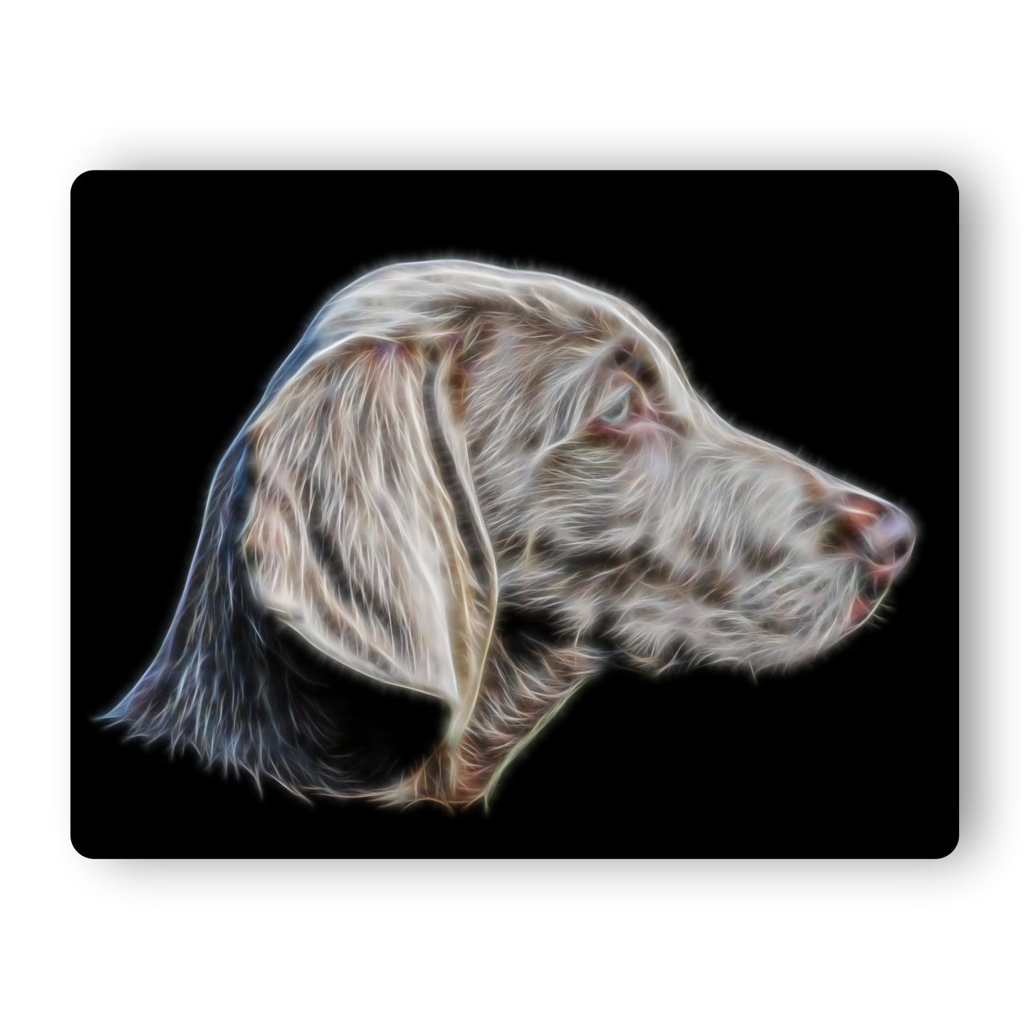 Weimaraner Aluminium Metal Wall Plaque with Stunning Fractal Art Design.