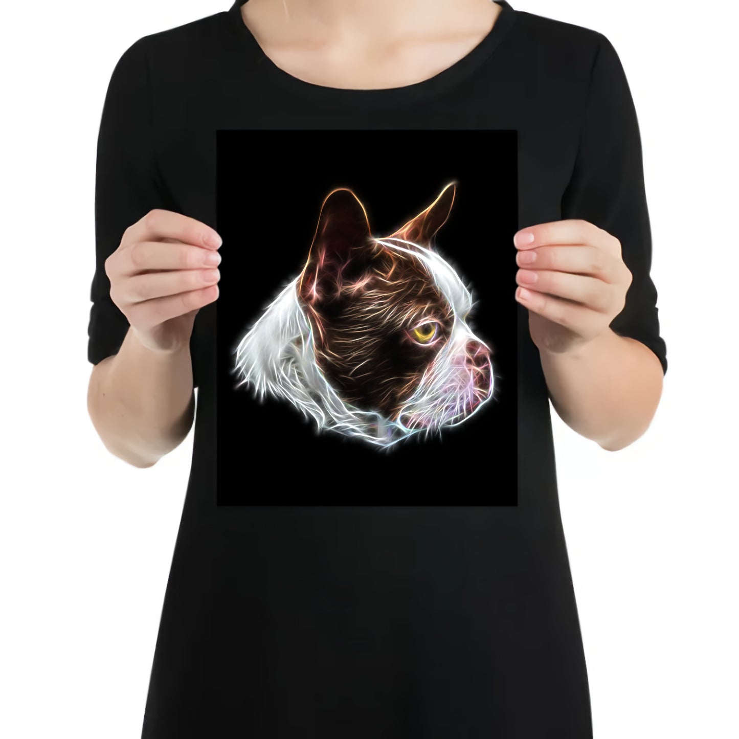 Brown and White Boston Terrier Fractal Art Aluminium Metal Wall Plaque