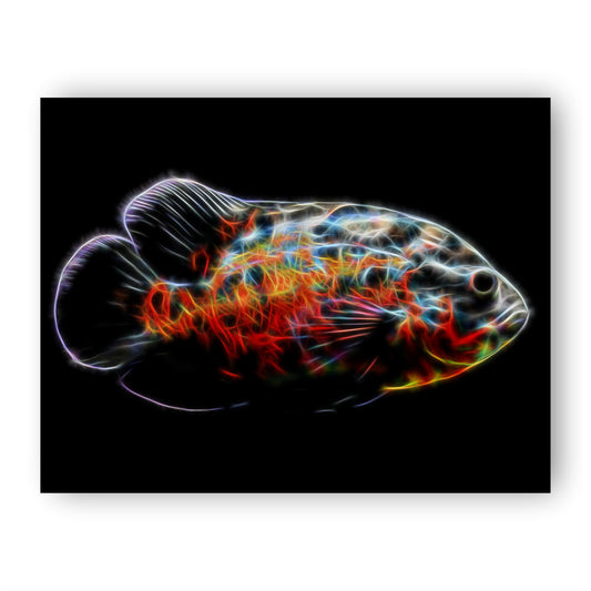 Tiger Oscar Fish Print with Stunning Fractal Art Design.