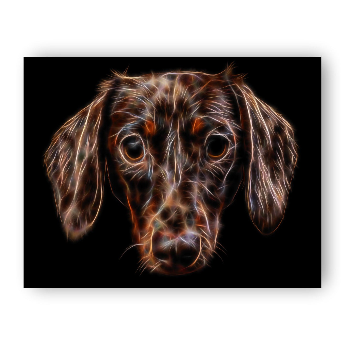 Chocolate Dachshund Print with Stunning Fractal Art Design. Various Sizes Available