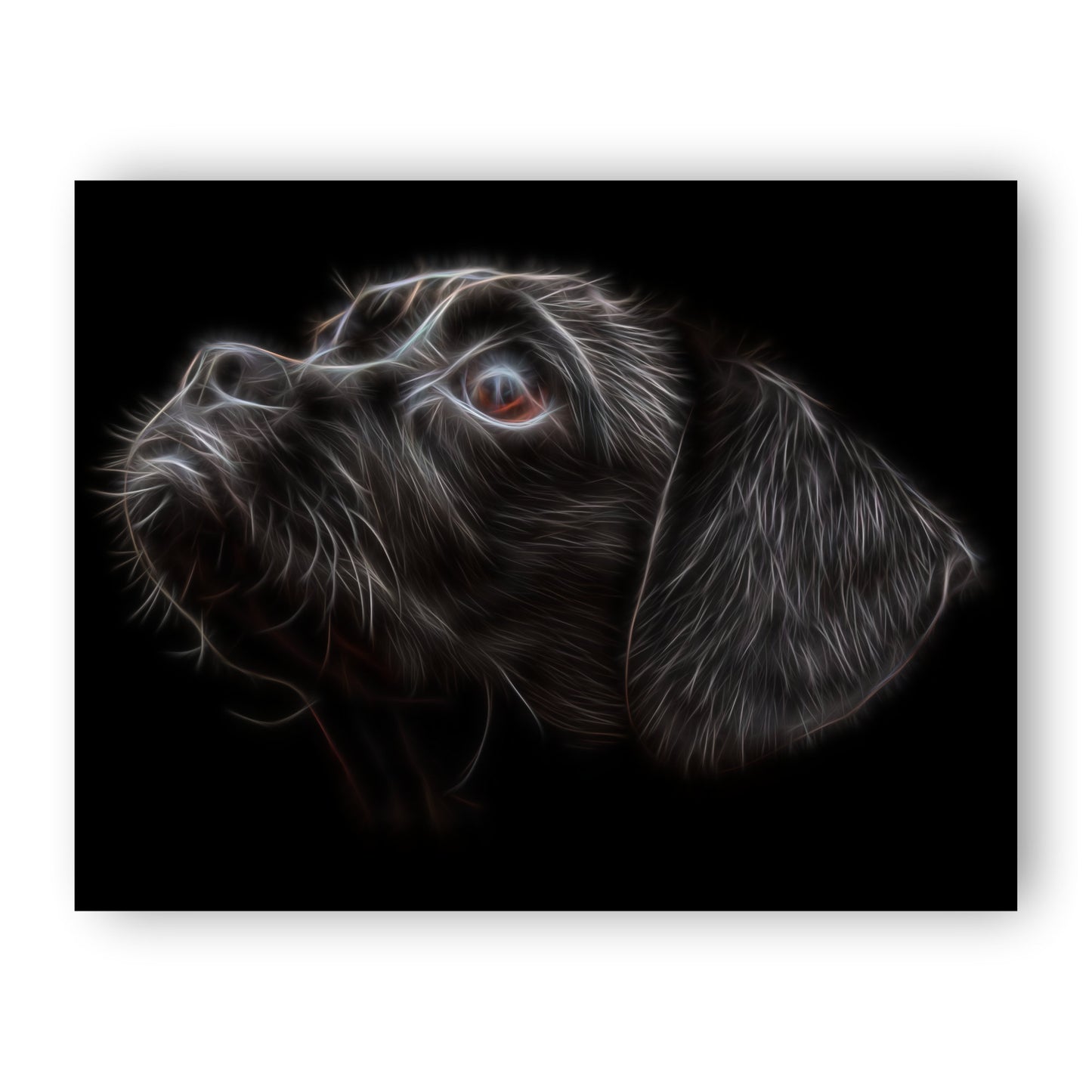 Black Puggle Print with Stunning Fractal Art Design. Various Sizes Available