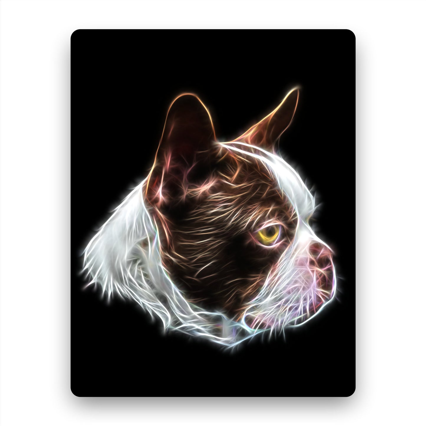Brown and White Boston Terrier Fractal Art Aluminium Metal Wall Plaque