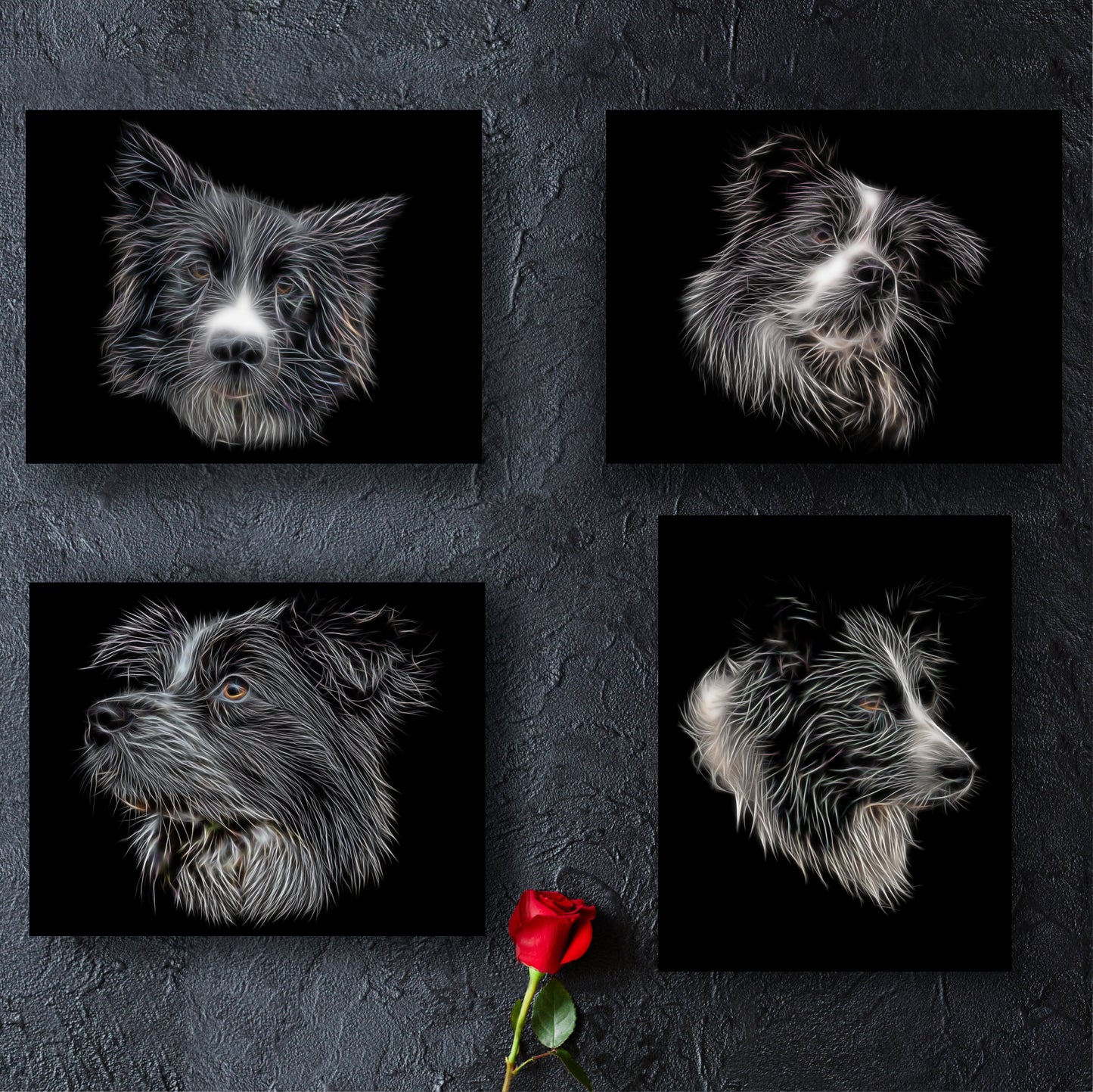 Border Collie Print with Stunning Fractal Art Design. Various Sizes Available