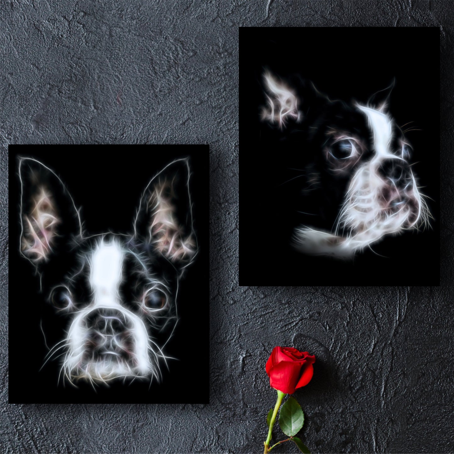 Boston Terrier Print with Stunning Fractal Art Design. Various Sizes Available