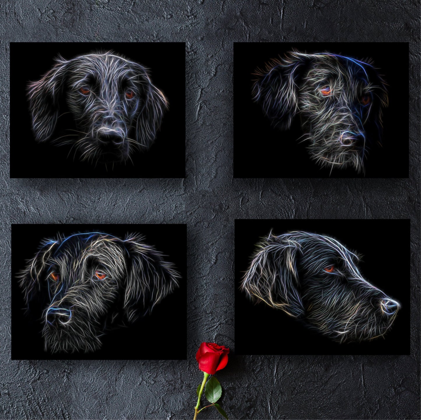 Flat Coated Retriever Dog Print with Stunning Fractal Art Design. Various Sizes Available