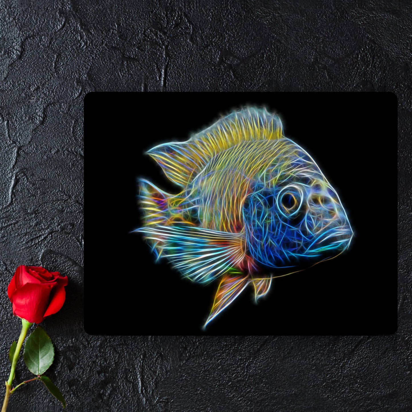 Ruby Red Peacock Cichlid Aluminium Metal Wall Plaque with Stunning Fractal Art Design. Aulonocara Rubescens