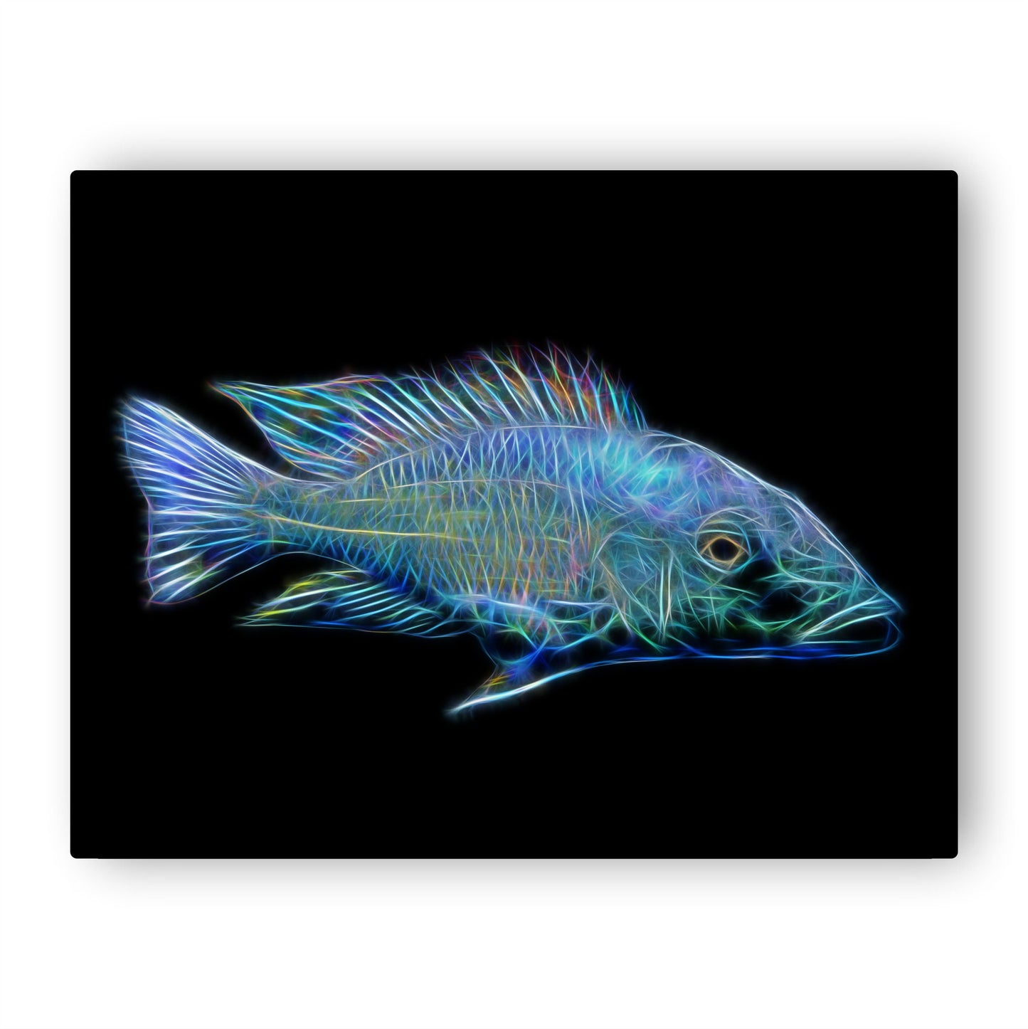 Fossorochromis Rostratus Cichlid Aluminium Metal Wall Plaque with Stunning Fractal Art Design.