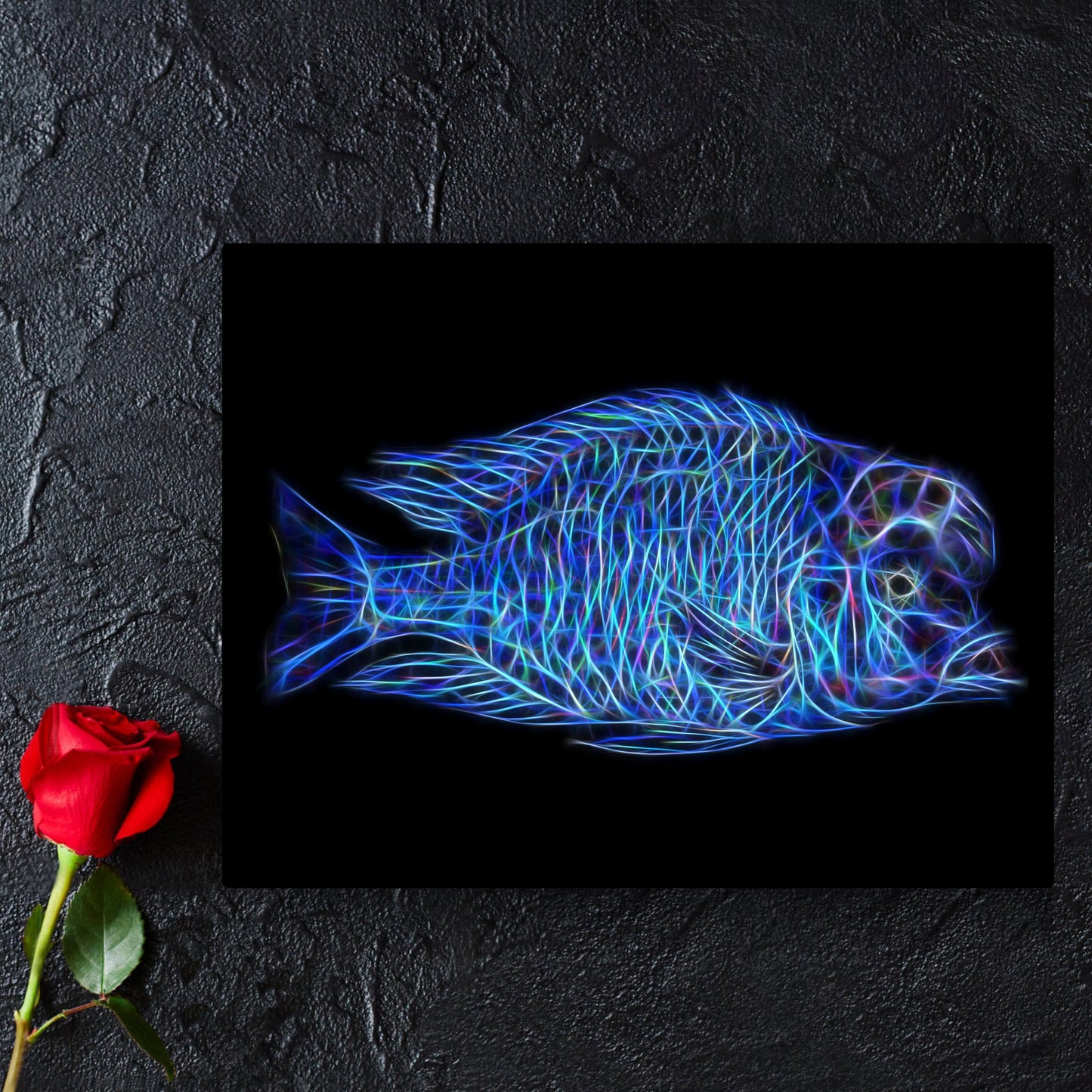 Blue Dolphin Cichlid Metal Wall Plaque with Stunning Fractal Art Design. Cyrtocara Moorii