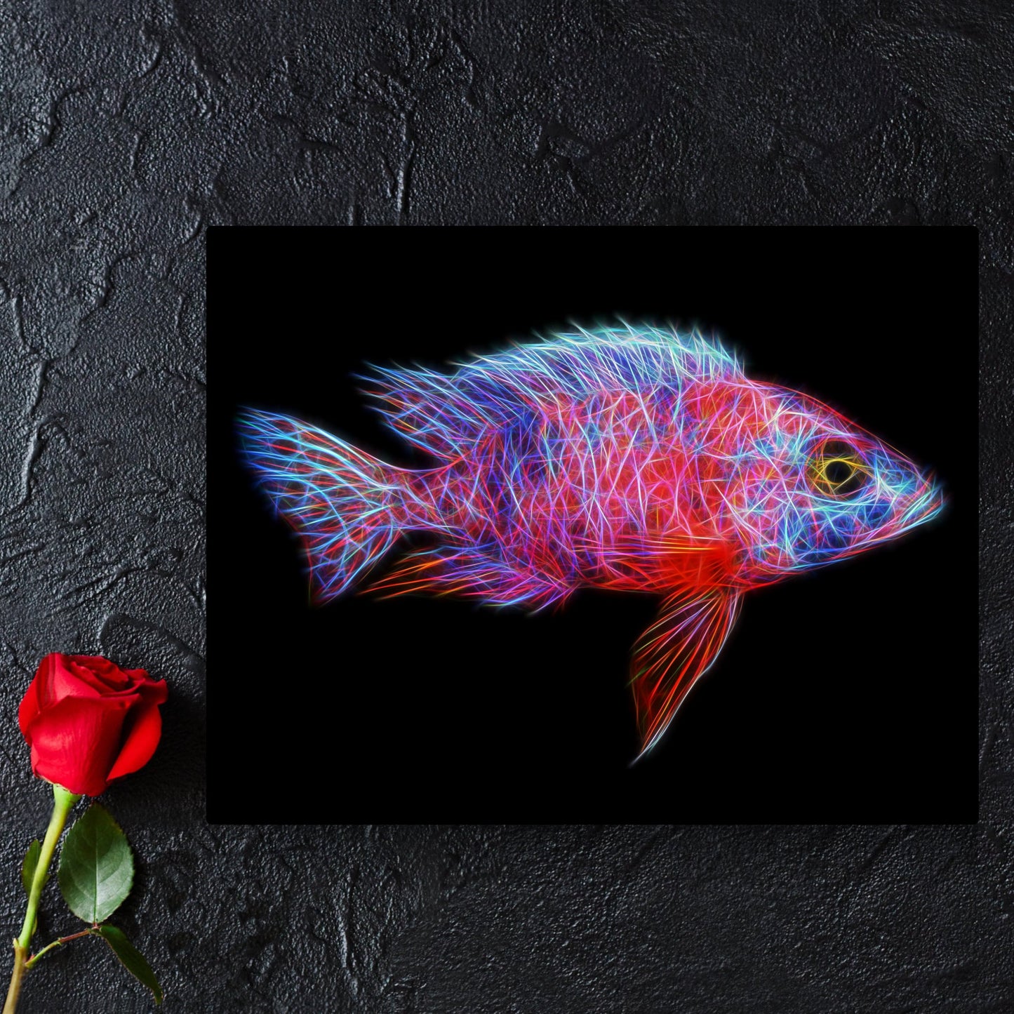 Red OB Peacock Cichlid Metal Wall Plaque with Stunning Fractal Art Design. Aulonocara Sp