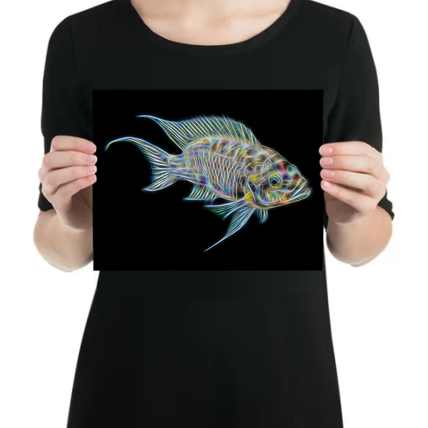 Fairy / Princess Cichlid Aluminium Metal Wall Plaque with Stunning Fractal Art Design. Neolamprologus Brichardi