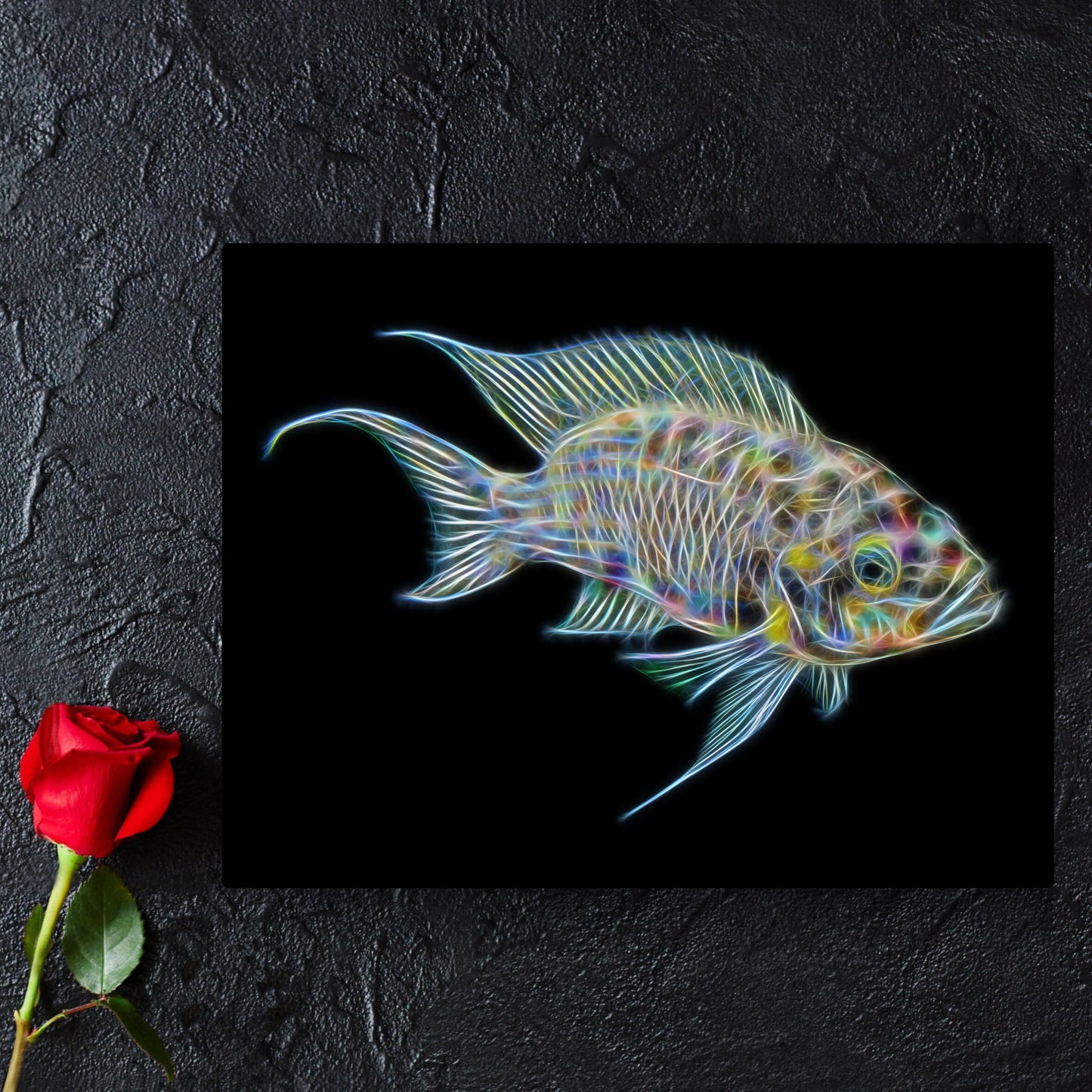 Fairy / Princess Cichlid Aluminium Metal Wall Plaque with Stunning Fractal Art Design. Neolamprologus Brichardi