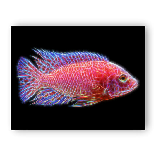 Dragon Blood Peacock Cichlid Metal Wall Plaque with Stunning Fractal Art Design. Aulonocara Sp