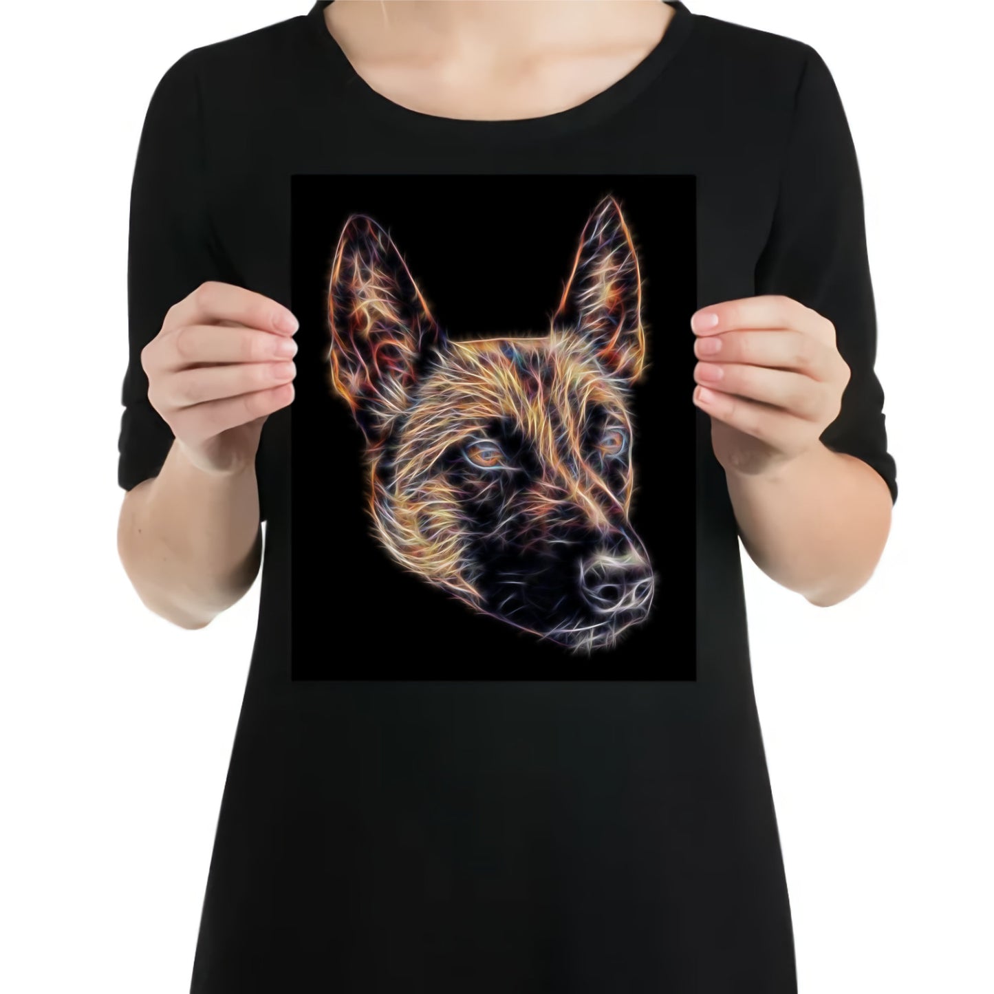 Belgian Malinois Aluminium Metal Wall Plaque. Perfect Belgian Shepherd Owner or Dog Lover Gift.