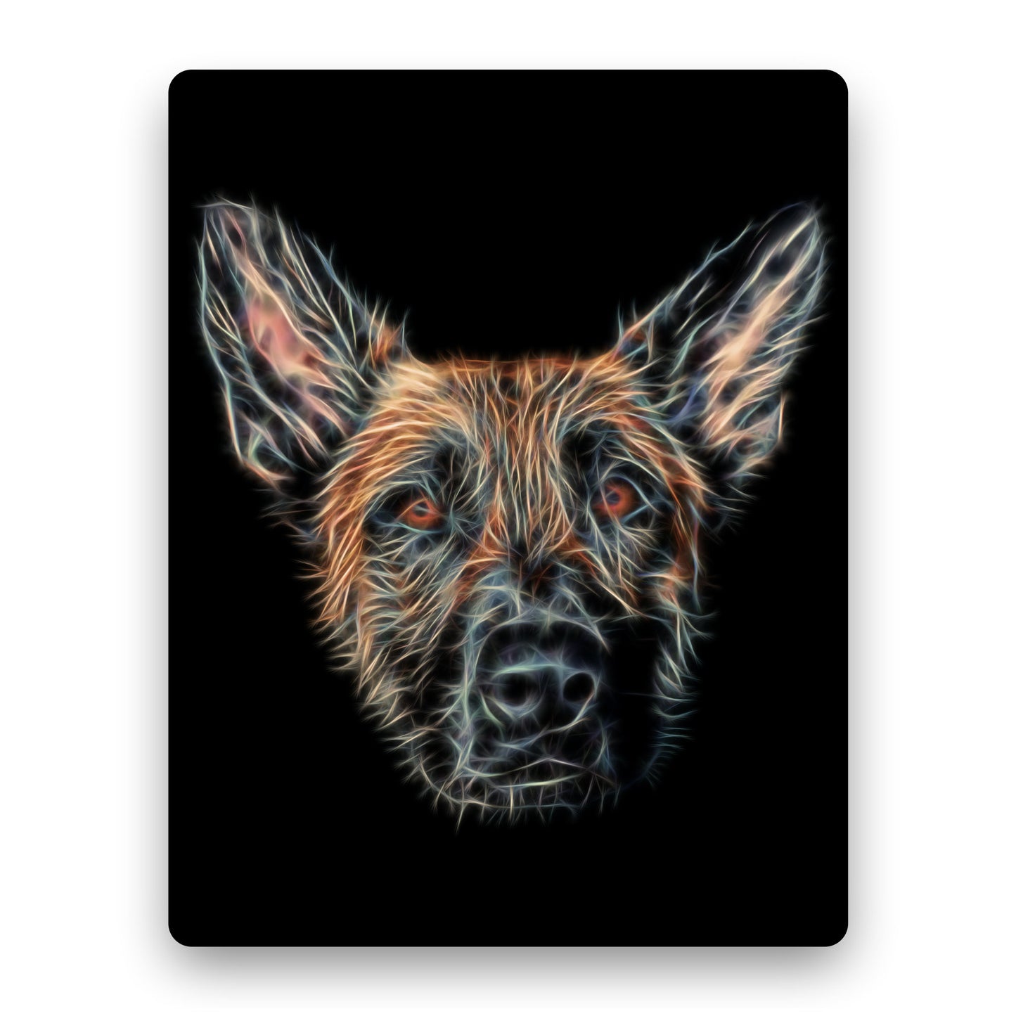 Belgian Malinois Aluminium Metal Wall Plaque. Perfect Belgian Shepherd Owner or Dog Lover Gift.