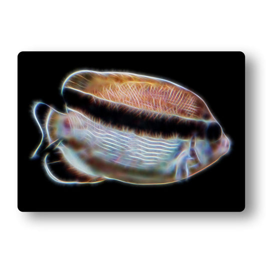 Angelfish Aluminium Metal Wall Plaque with Stunning Fractal Art Design.