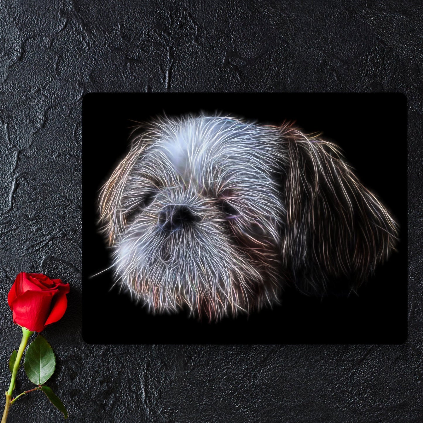 Shih Tzu Metal Wall Plaque with Stunning Fractal Art Design. Gold and White Shih Tzu