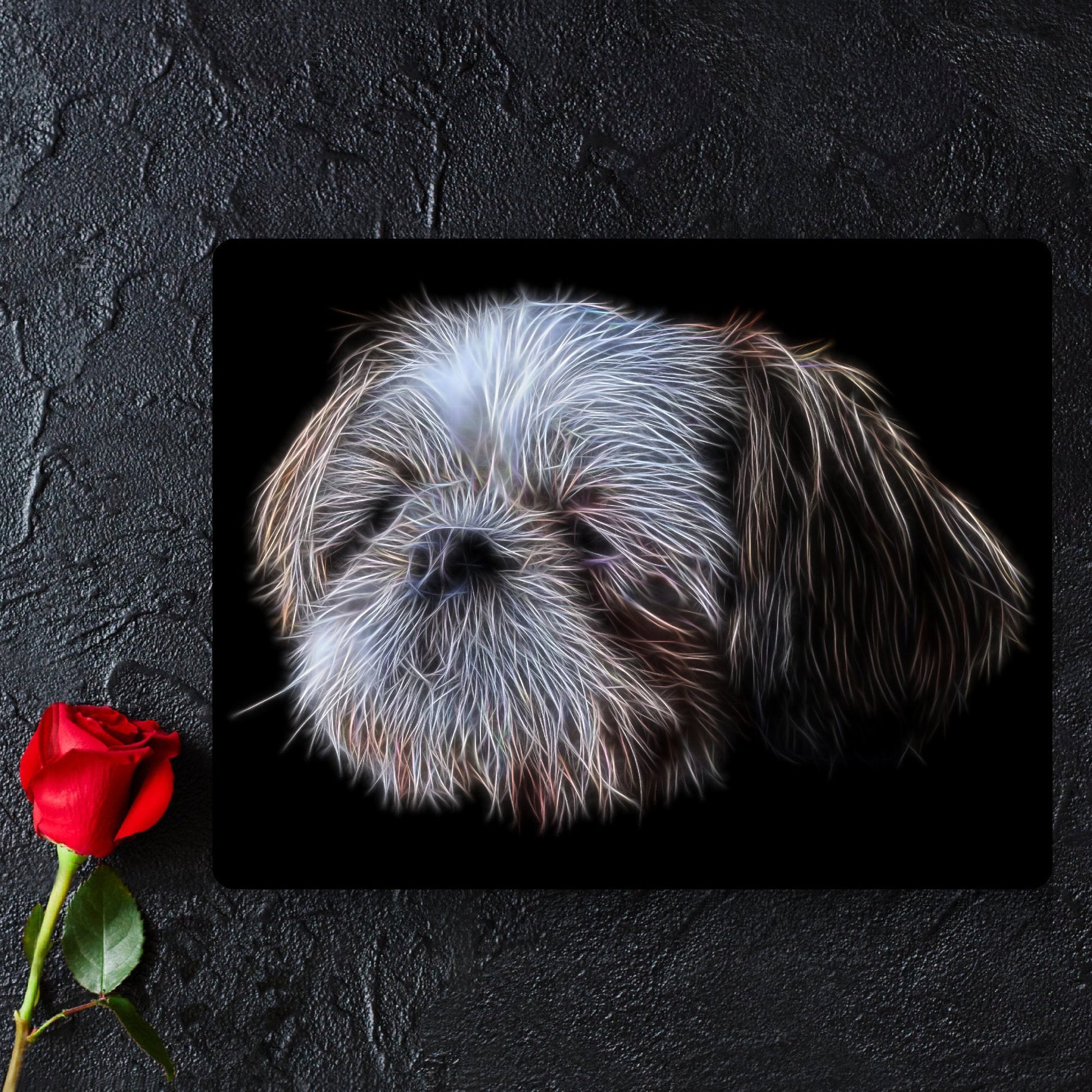 Shih Tzu Metal Wall Plaque with Stunning Fractal Art Design. Gold and White Shih Tzu