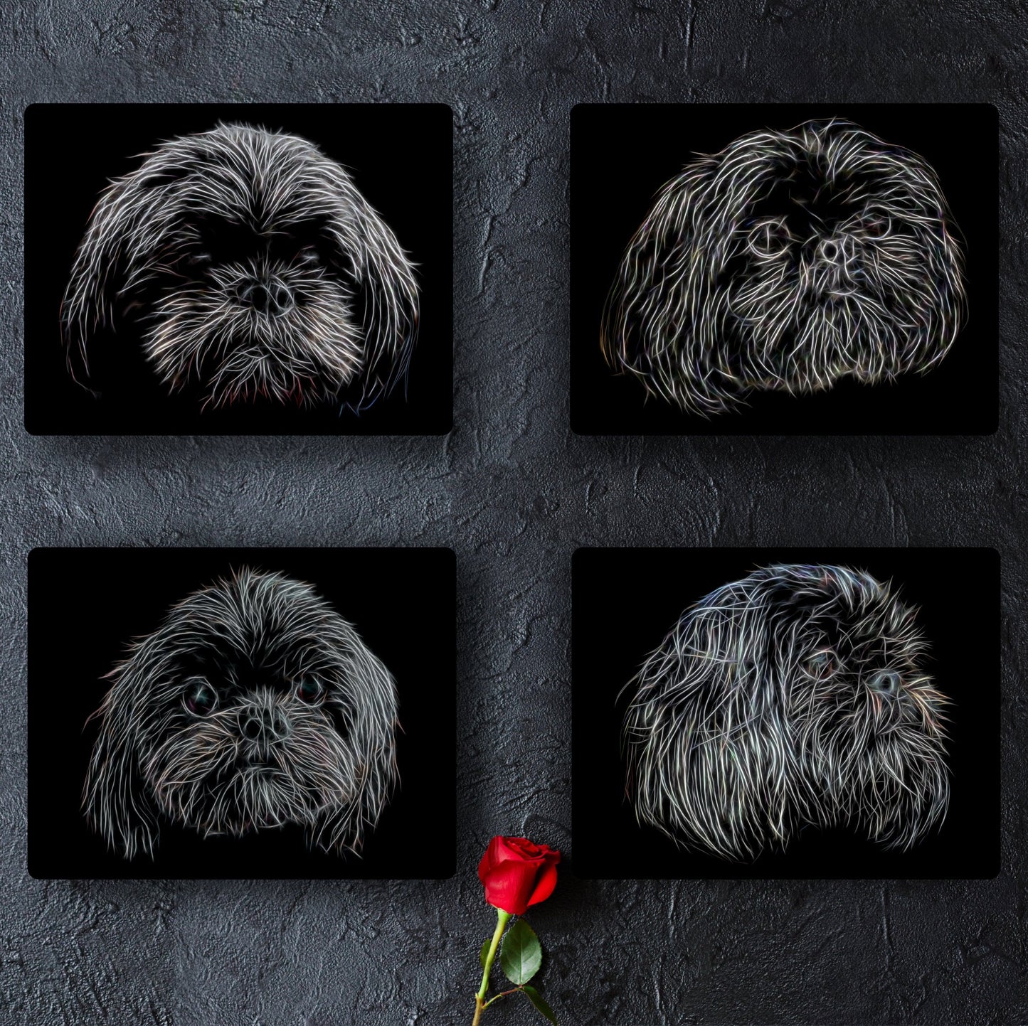 Black Shih Tzu Metal Wall Plaque with Stunning Fractal Art Design