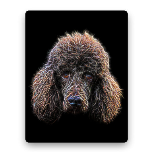 Chocolate Brown Standard Poodle Metal Wall Plaque with Stunning Fractal Art Design.