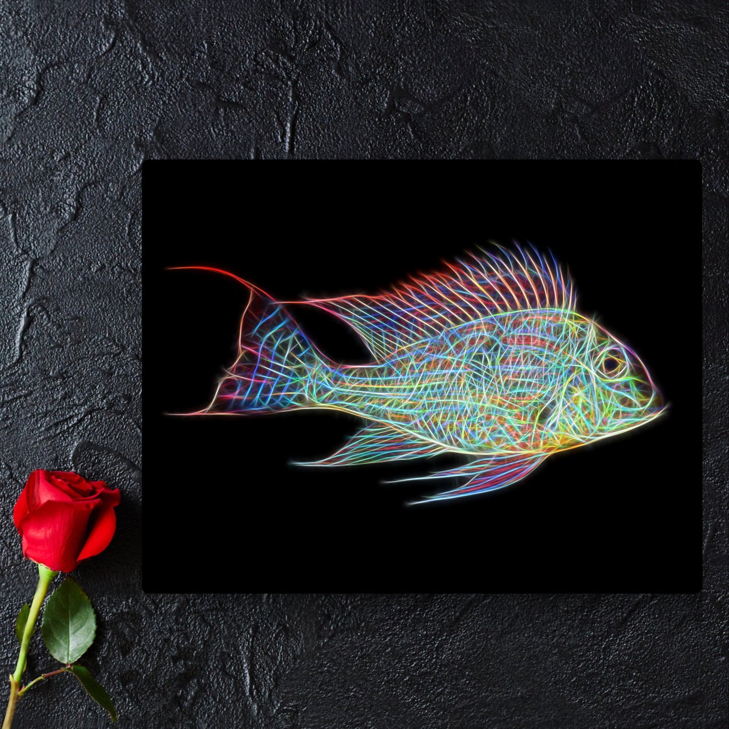 Geophagus Sveni Cichlid Fish Print with Stunning Fractal Art Design. Sven's Eartheater